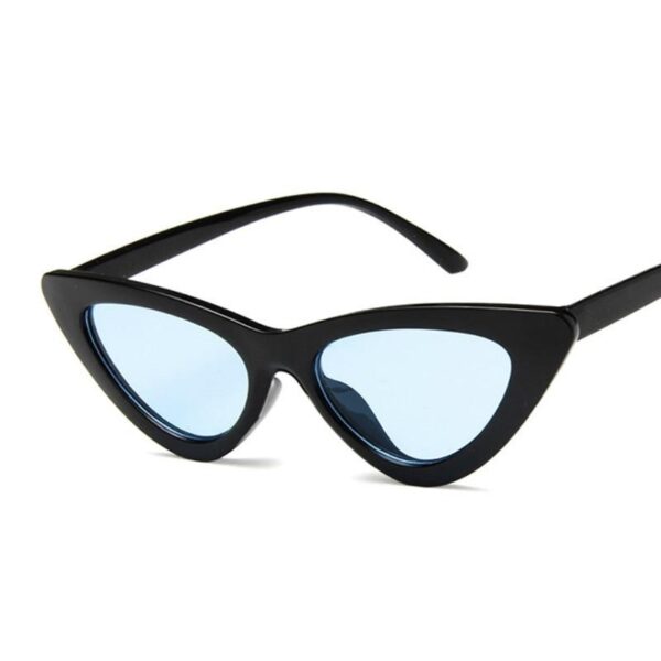 3204-wzbc74.jpeg Vintage Sexy Cat Eye Women's Sunglasses